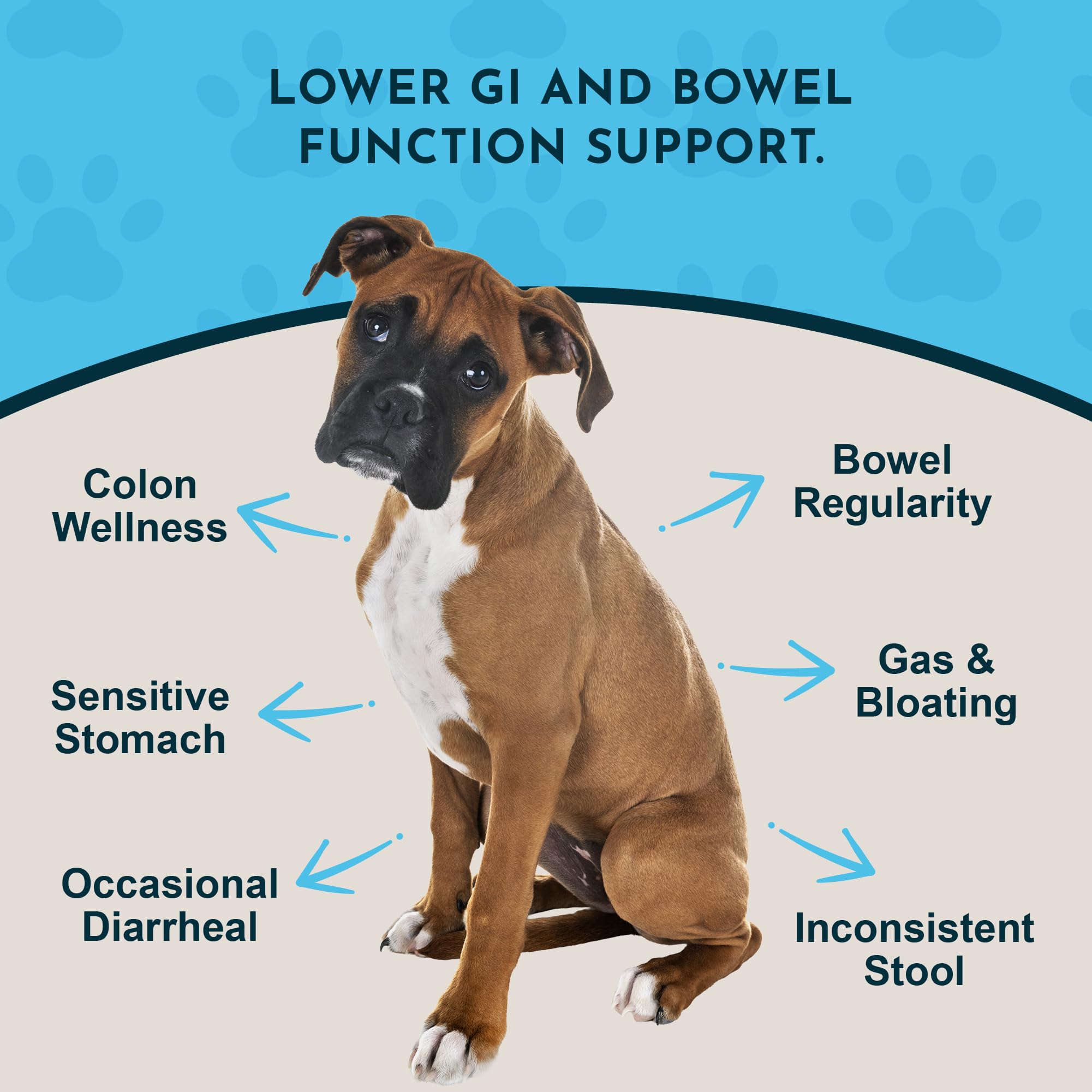 Animal Essentials Colon Rescue Powder scoop demonstrates easy dosing for pet digestion support
