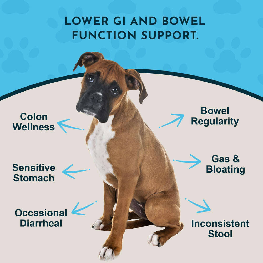 Animal Essentials Colon Rescue Powder scoop demonstrates easy dosing for pet digestion support