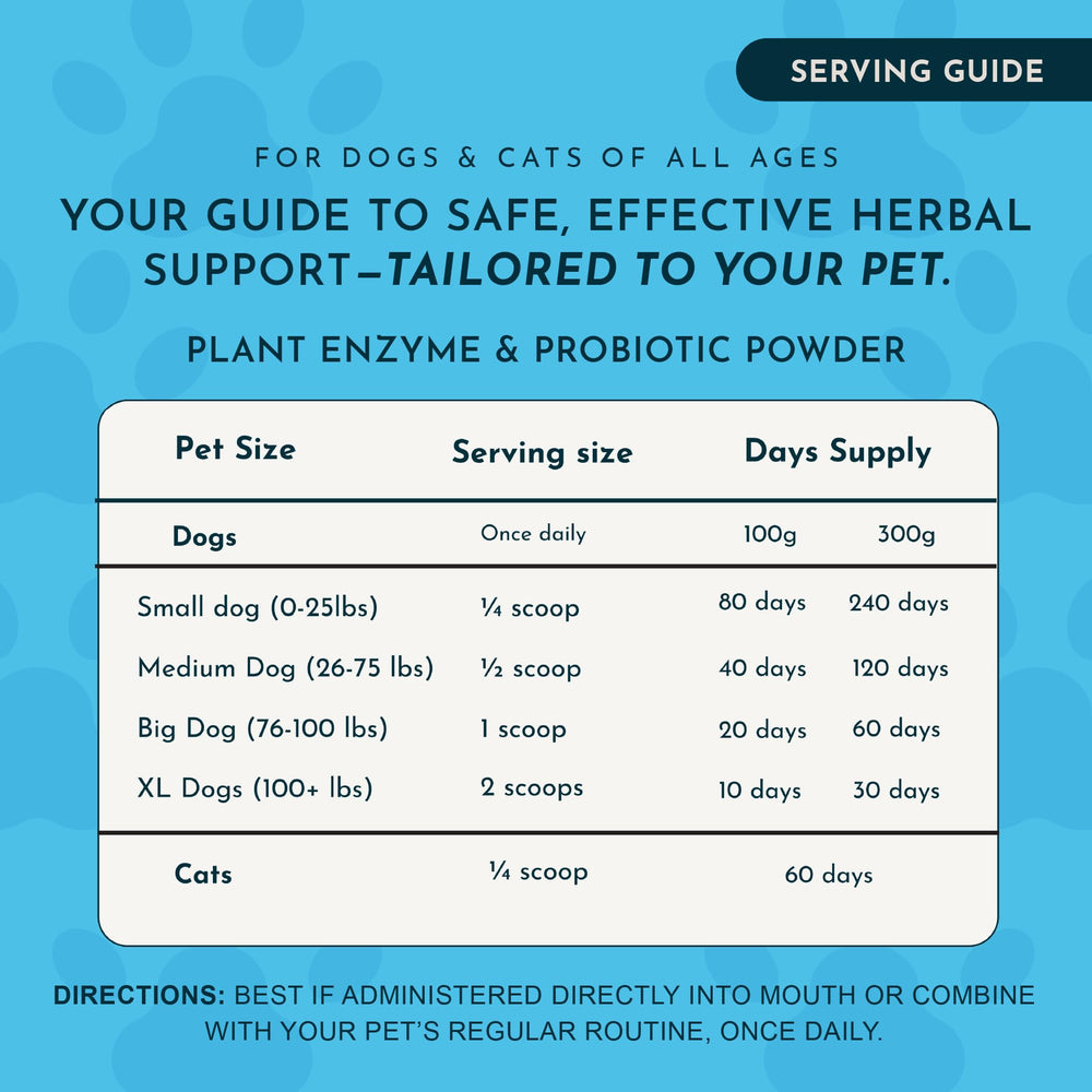 Animal Essentials enzymes added to dog bowl during meals