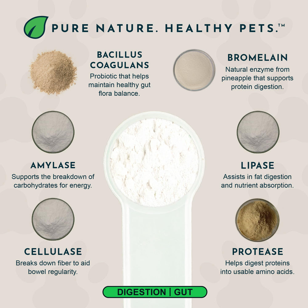 Animal Essentials dog meal bowl with supplement for daily digestion aid