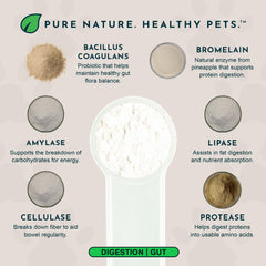 Animal Essentials dog meal bowl with supplement for daily digestion aid