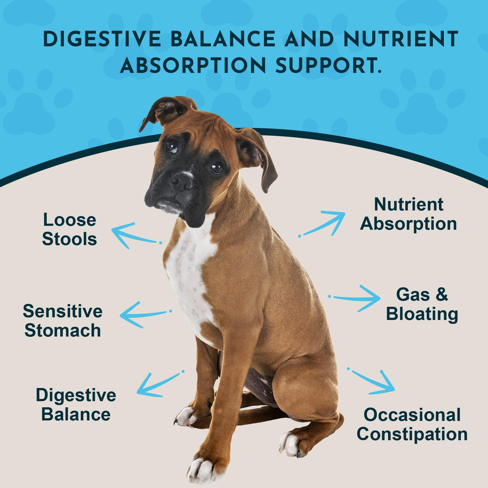 Animal Essentials powder in a dispensing scene for daily use