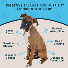 Animal Essentials powder in a dispensing scene for daily use