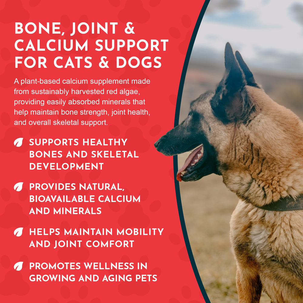 Animal Essentials Sea-Cal cat food mix demonstration for bone support