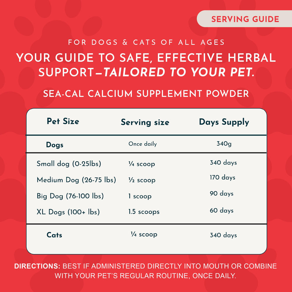 Animal Essentials Sea-Cal powder near dog food bowl to illustrate dosing