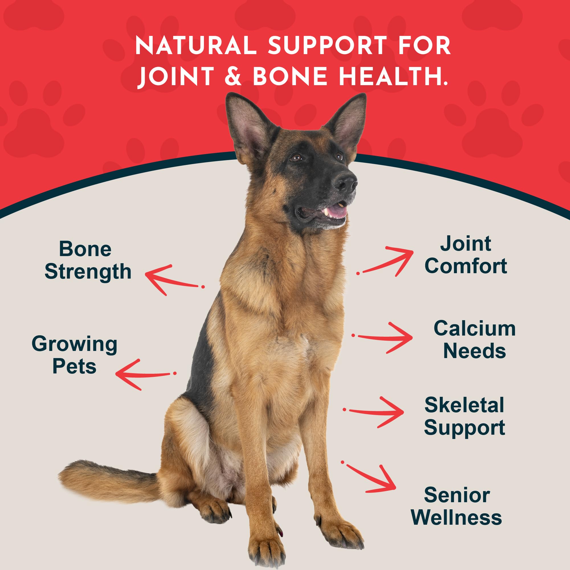 Animal Essentials Sea-Cal powder for dogs ready to mix into meals for easy feeding