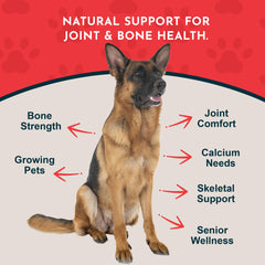 Animal Essentials Sea-Cal powder for dogs ready to mix into meals for easy feeding