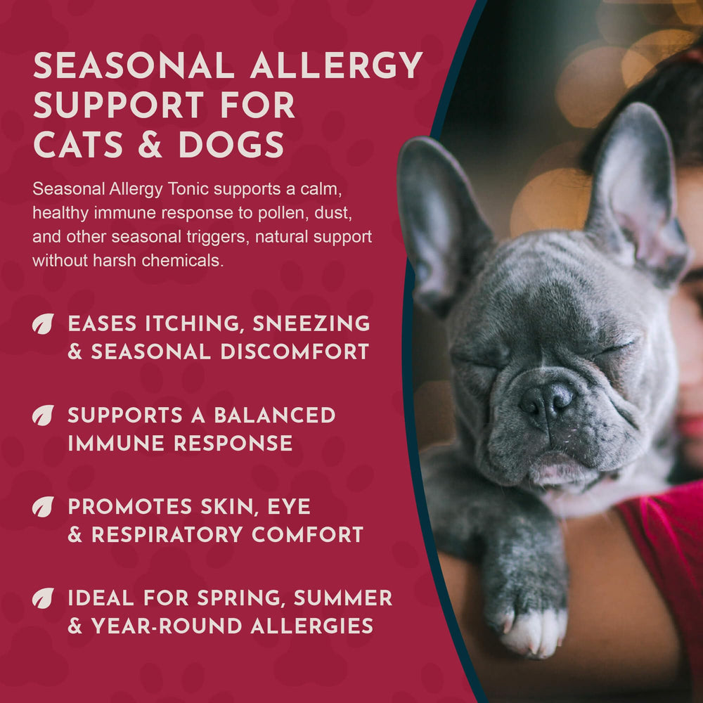 Animal Essentials seasonal allergy cat bottle features a herbal tincture for seasonal comfort.