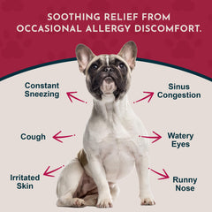 Animal Essentials seasonal allergy dog dropper demonstrates easy dosing for pets.