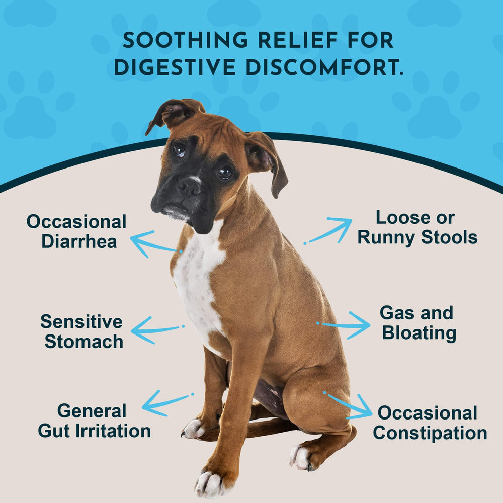 Animal Essentials Slippery Elm drops pour shows easy dosing for dogs and cats.