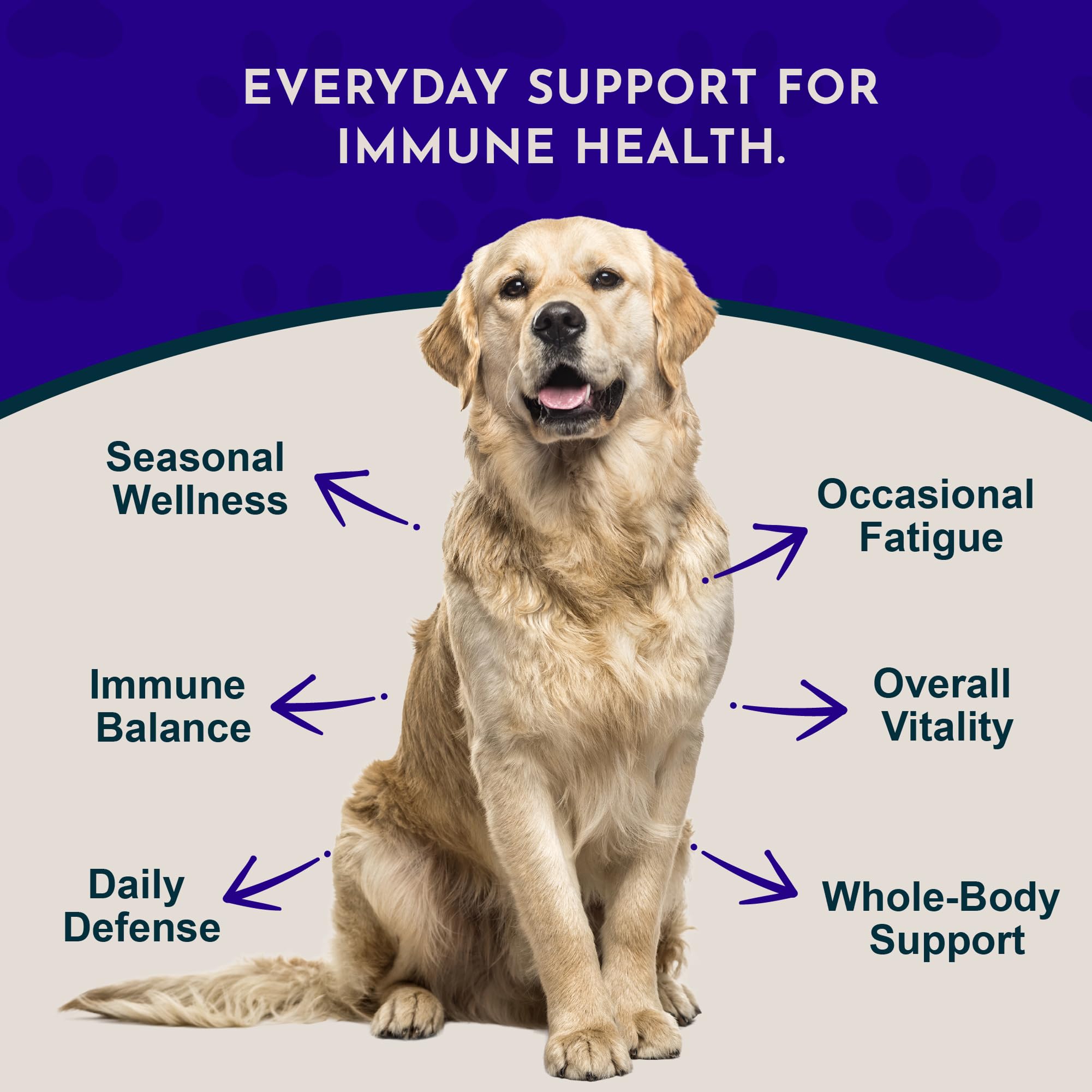 Animal Essentials Super Immune dropper demonstrates convenient administration for pets.