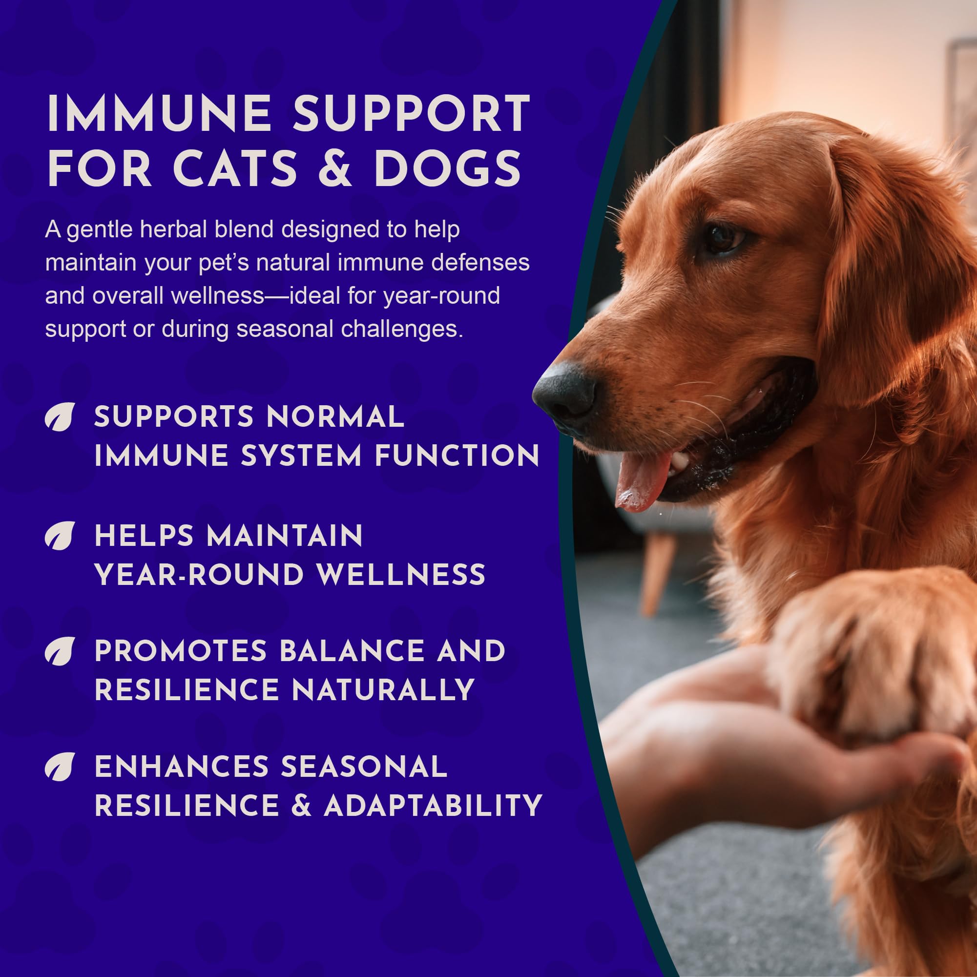 Animal Essentials Super Immune Eleuthero root view emphasizes vitality support.