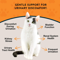 Animal Essentials Tinkle Tonic dropper pouring for easy dosing