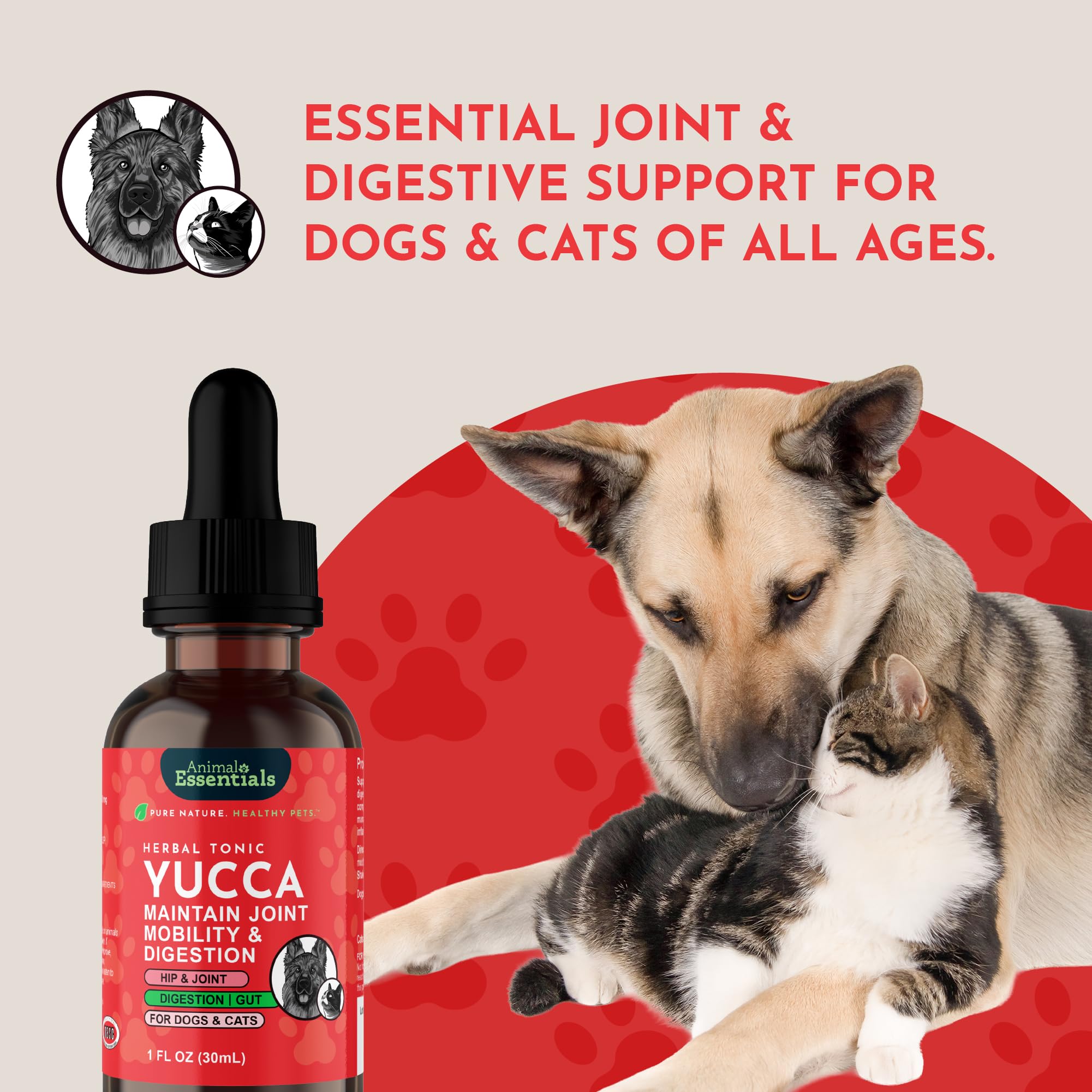 Animal Essentials Yucca bowl with Yucca being mixed into pet food for routine care