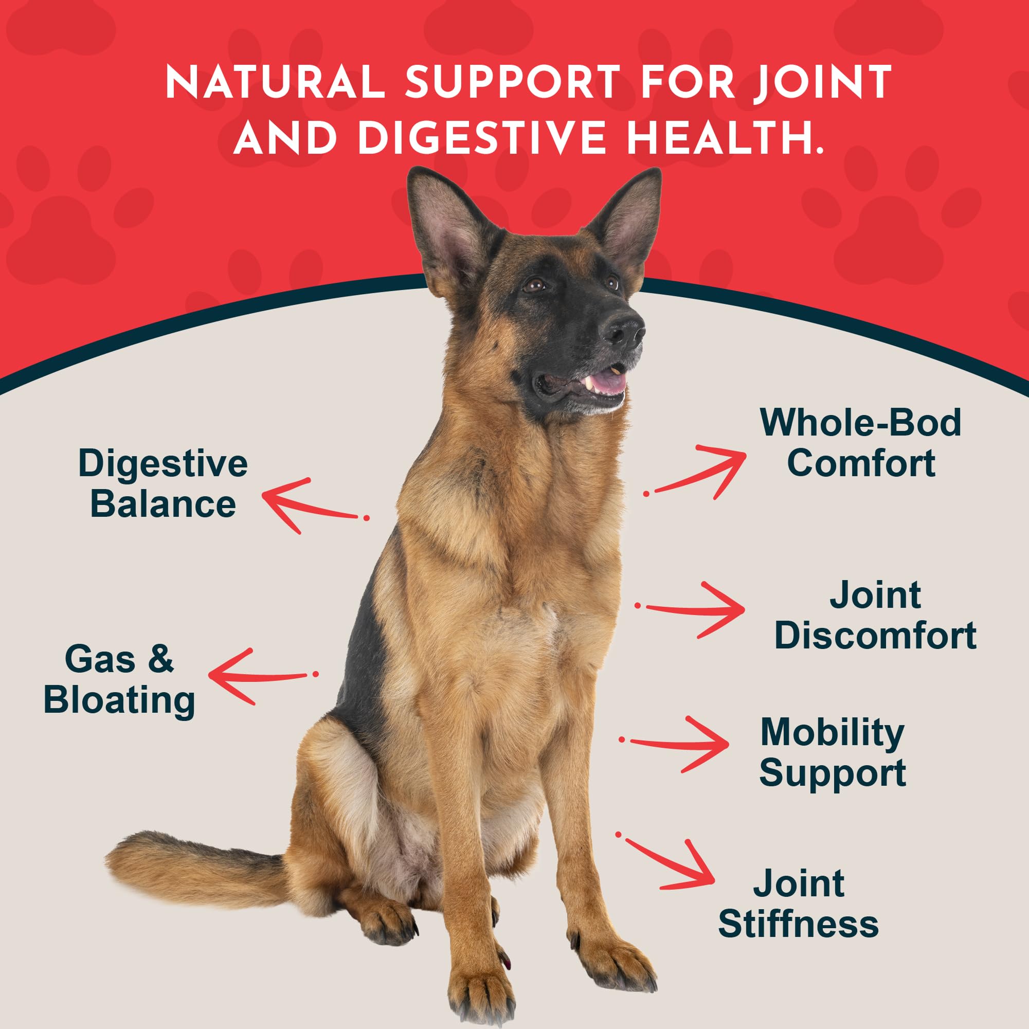 Animal Essentials Yucca liquid being added to a pet bowl for convenient dosing