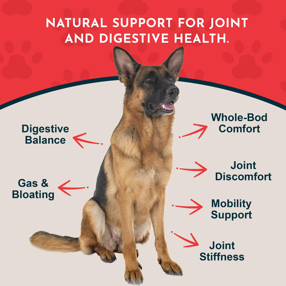 Animal Essentials Yucca liquid being added to a pet bowl for convenient dosing