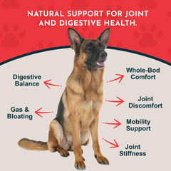 Animal Essentials Yucca liquid being added to a pet bowl for convenient dosing