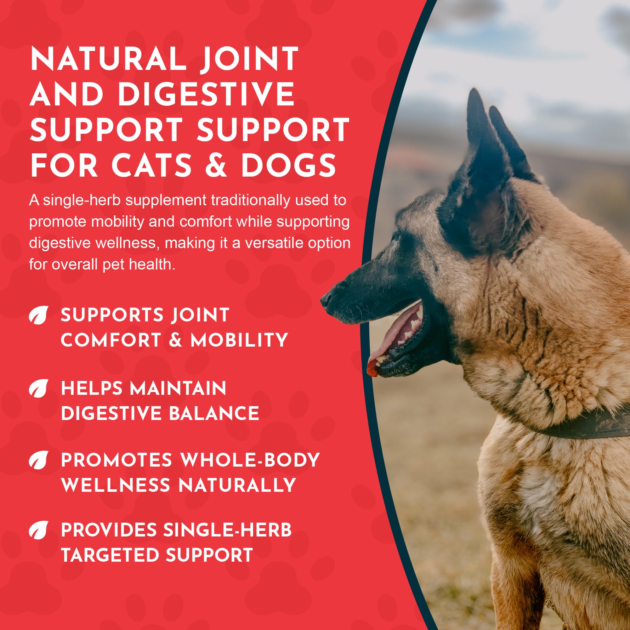 Animal Essentials Yucca liquid formula ready to be measured for daily use