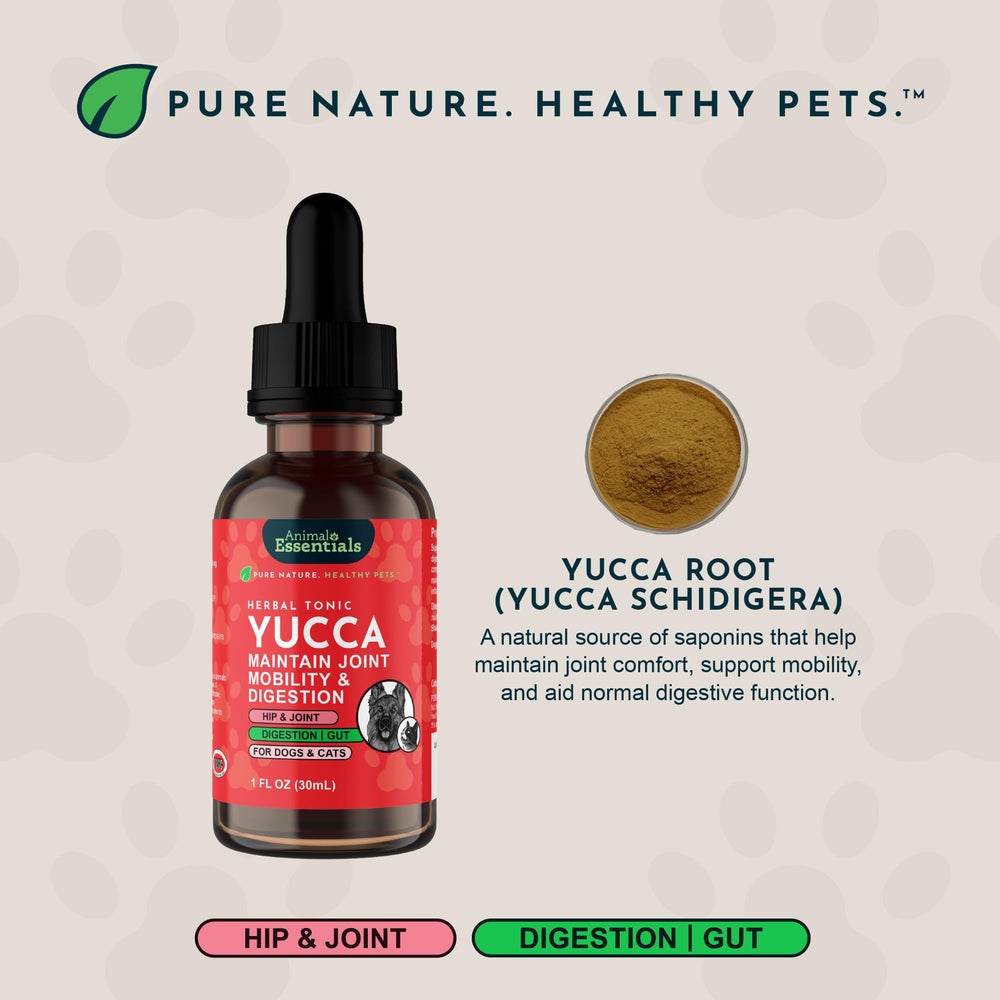 Animal Essentials Yucca senior-dog image suggesting potential mobility support