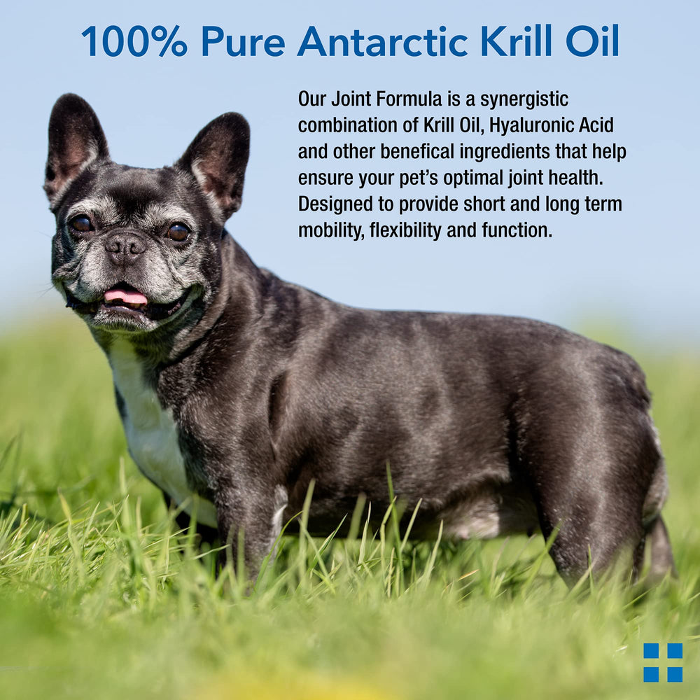 Animal Pharmaceuticals Krillex Rimoxen formula indicating inflammation support.