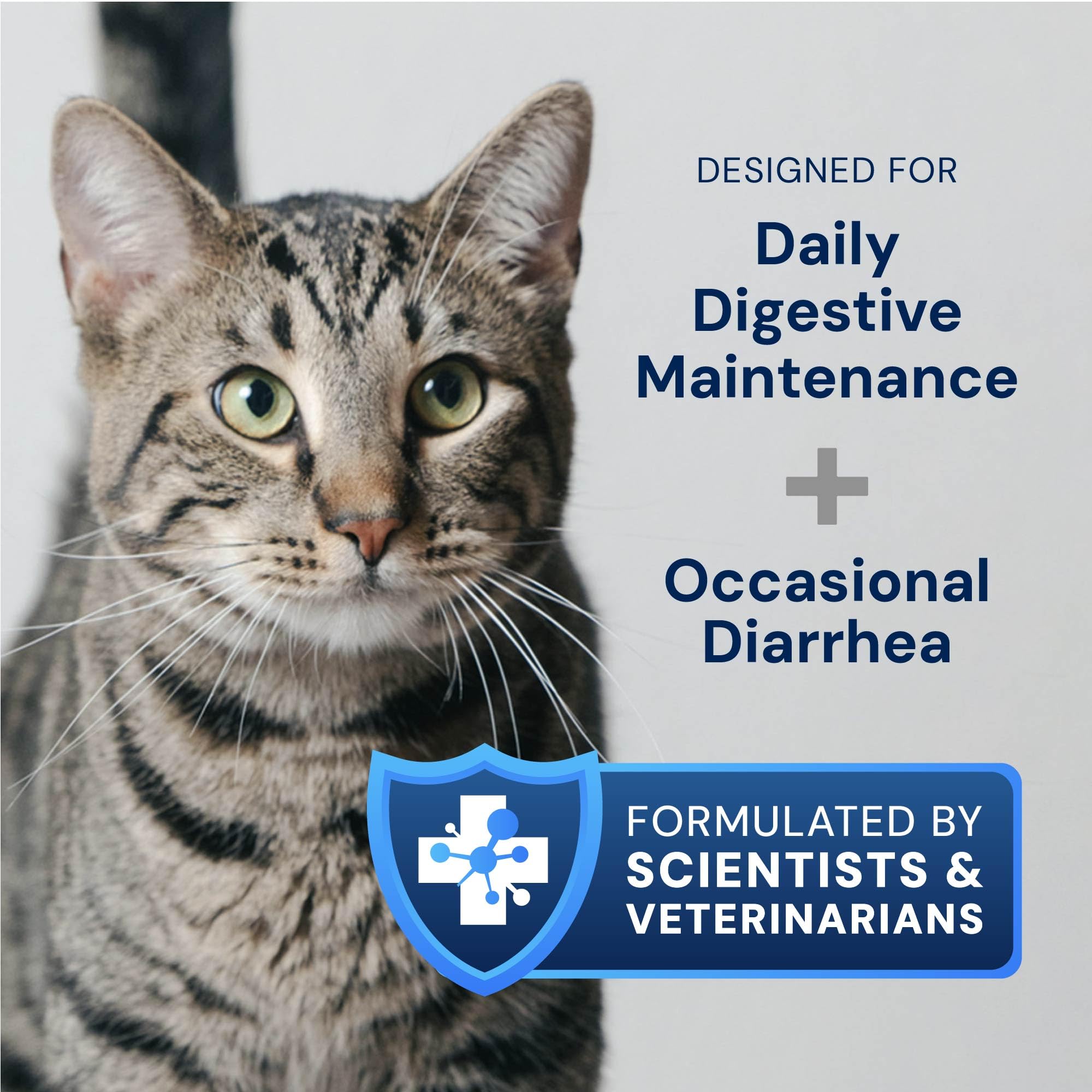 AnimalBiome Cat Probiotics capsule close-up highlights easy, mess-free dosing for cats.
