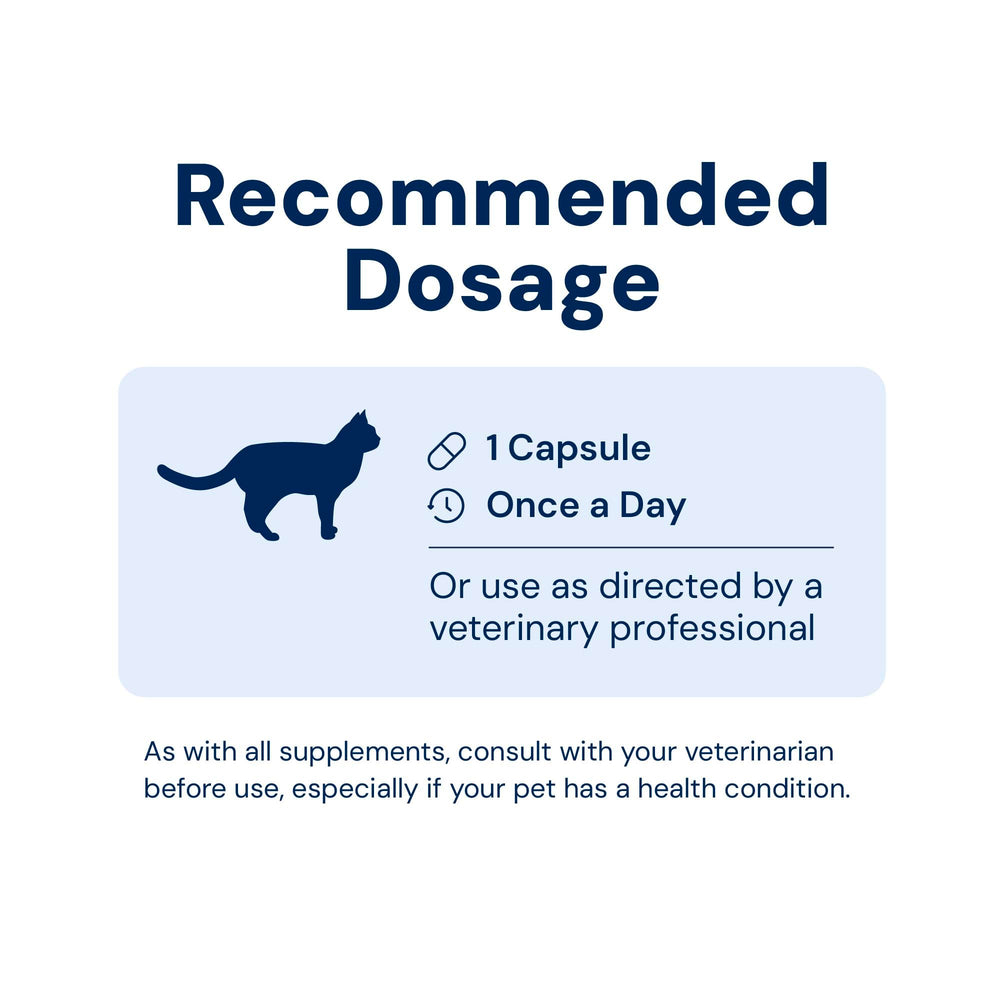AnimalBiome Cat Probiotics-digestive-health image suggests daily use for steady routines.