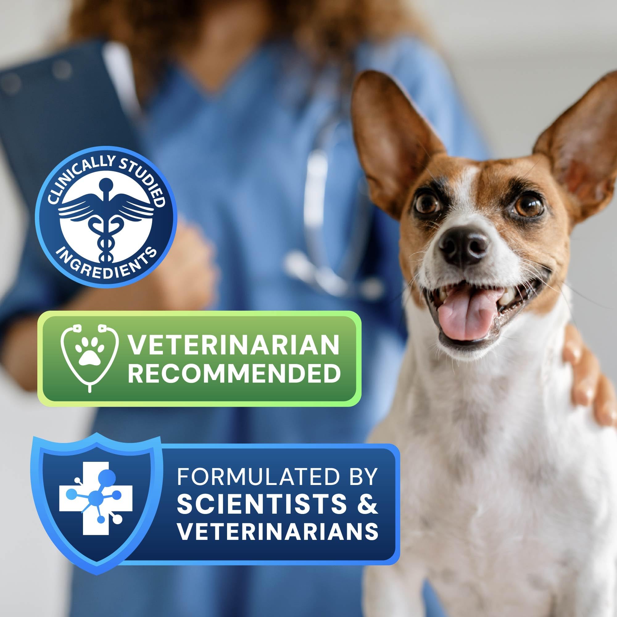 AnimalBiome S boulardii + FOS cat bottle highlights skin-support probiotic benefits for felines.