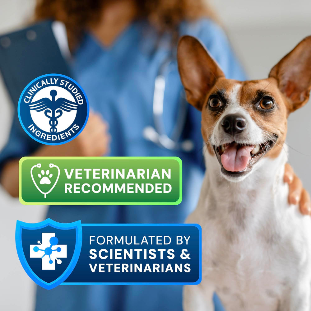 AnimalBiome S boulardii + FOS cat bottle highlights skin-support probiotic benefits for felines.