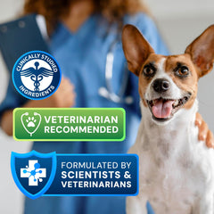 AnimalBiome S boulardii + FOS cat bottle highlights skin-support probiotic benefits for felines.