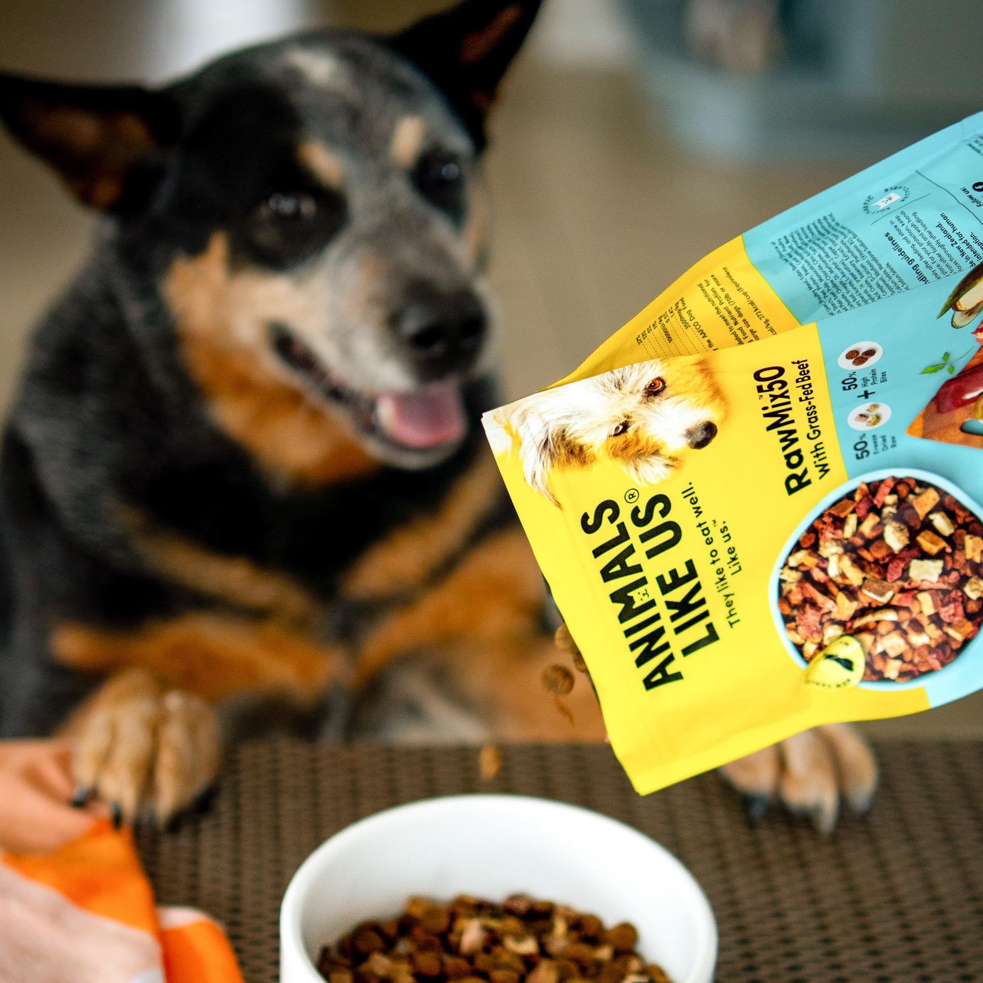 Animals Like Us RawMix50 dog-enjoying-meal during playtime