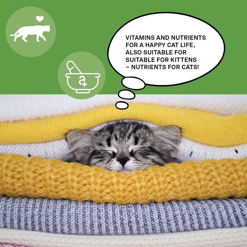 Animaux happy mealtimes with cat vitamins emphasize tasty supplement use.