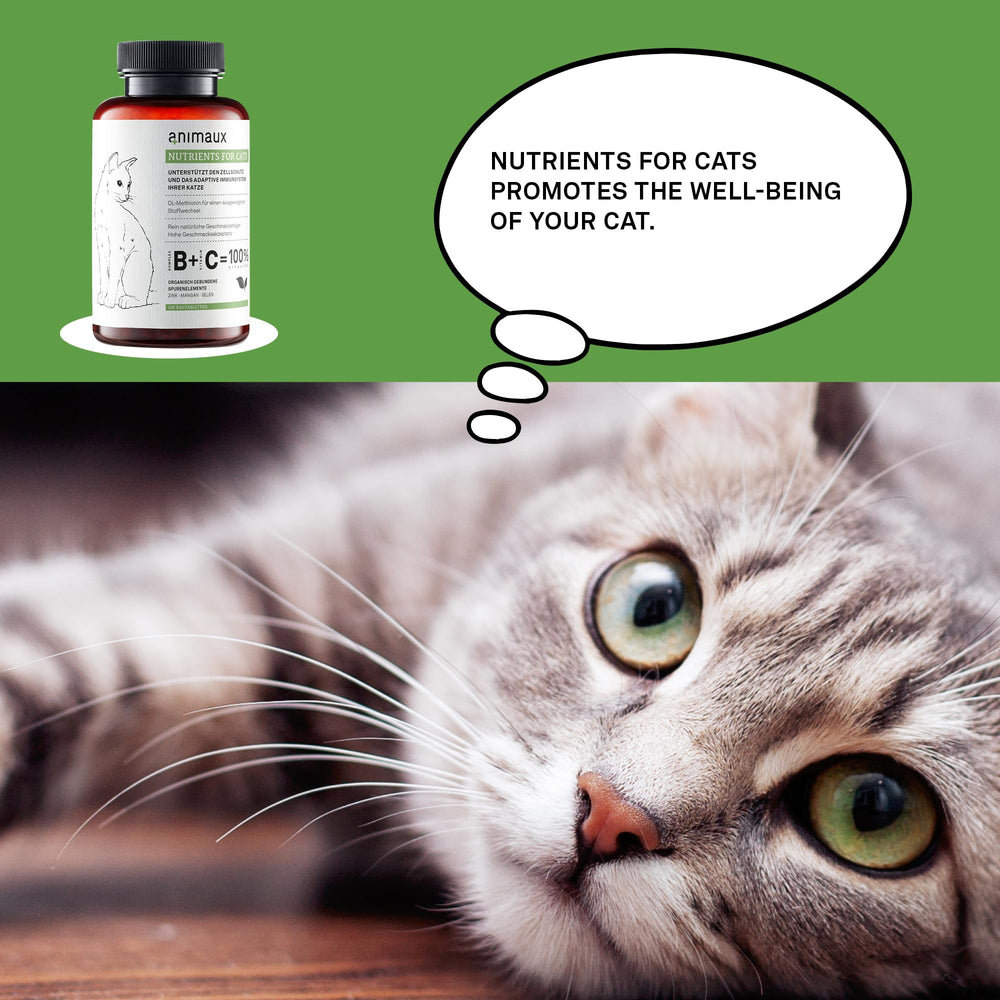 Animaux skin coat healthy shine close-up hints at glossy fur benefits.