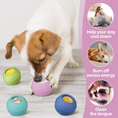 Animire brain-boosting chew toy promotes mental engagement during busy moments.