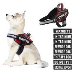 Animire dog harness patches set packshot showing customizable training patches for communication