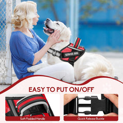 Animire leash with soft padded handle for comfortable gripping