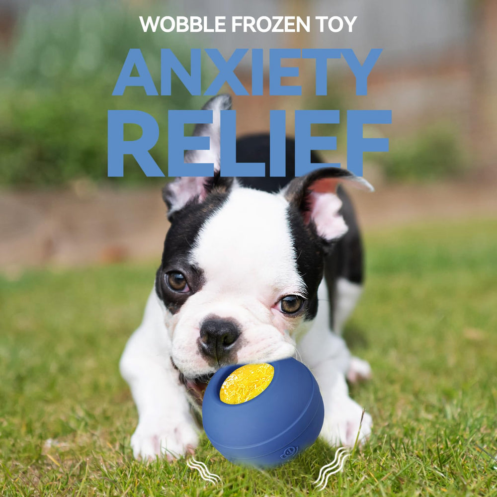 Animire lick toy dog-play scene suggests extended activity and focus.