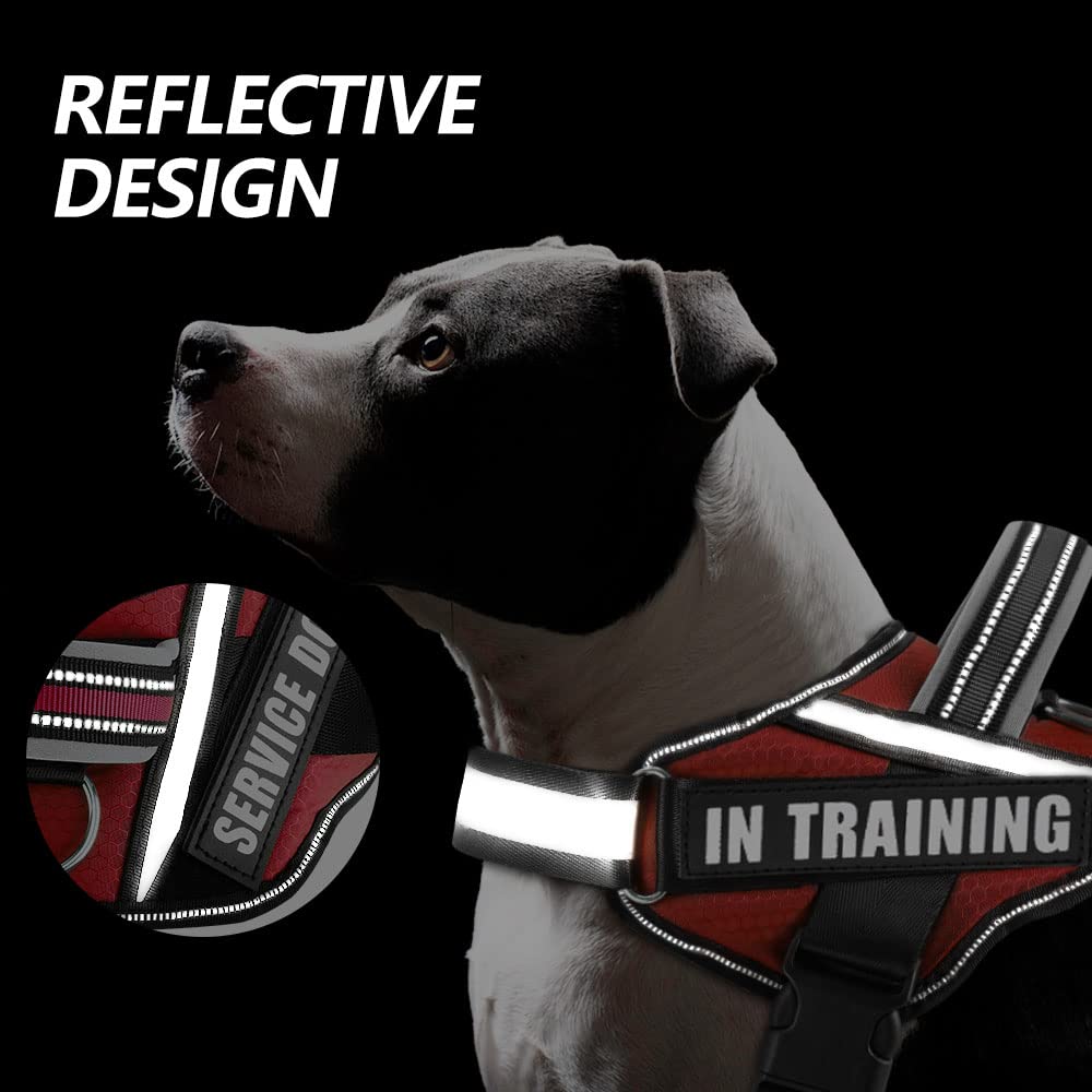 Animire patches attached on harness do not pet messaging