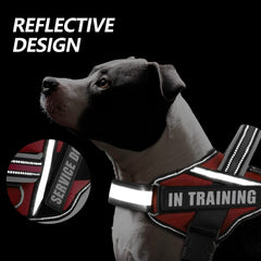 Animire patches attached on harness do not pet messaging