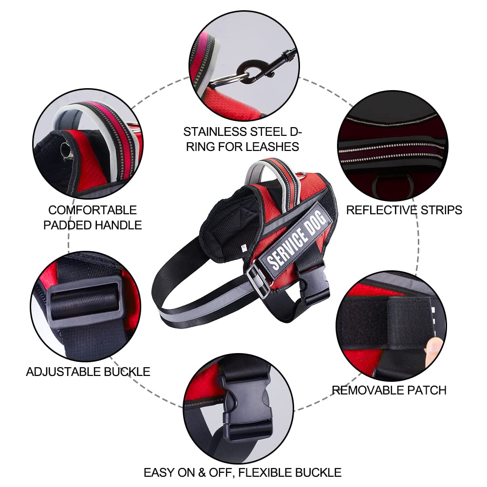 Animire patches display in travel bag for easy changes on the go