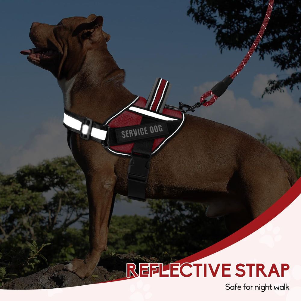 Animire reflective strips on harness for high visibility during walks