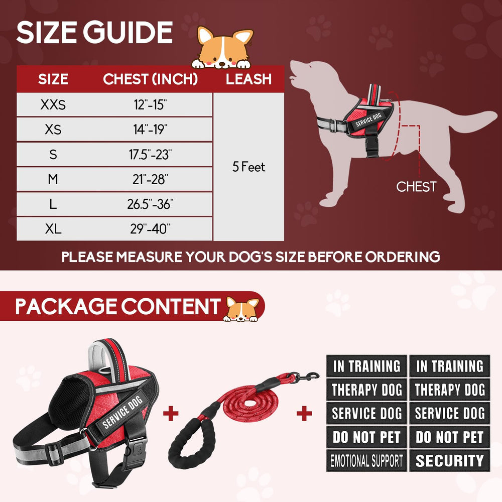 Animire size chart covers XXS to XL for versatile fit