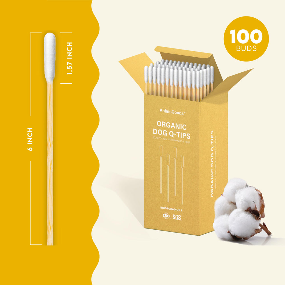AnimoGoods dog-ear cleaning setup shows versatility for paw salve application and more.
