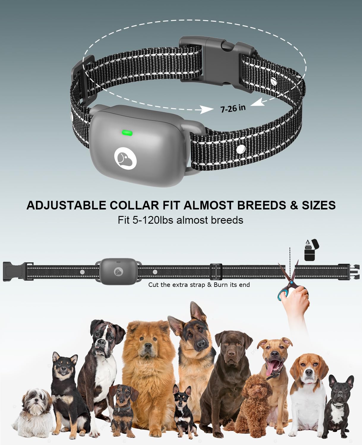 Animoul dog collar ergonomic strap ensures comfortable wear for all breeds