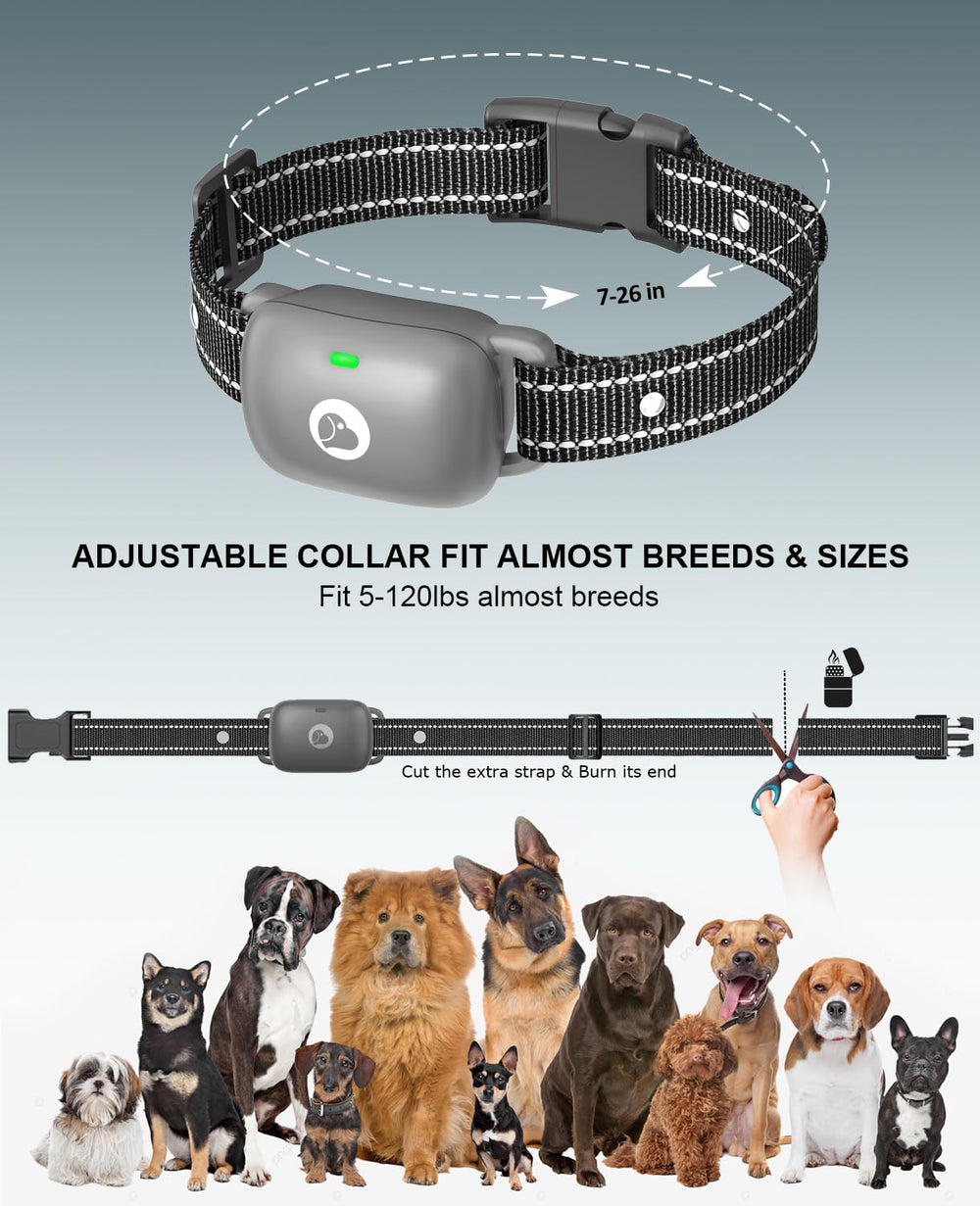 Animoul dog collar ergonomic strap ensures comfortable wear for all breeds