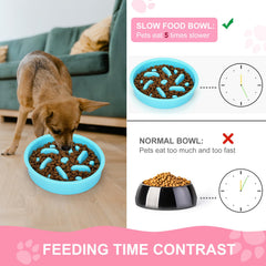 Anipaw 3-in-1 set shown with bowl, water dish, and mat for versatile feeding.