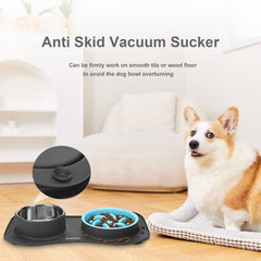 Anipaw 3in1 set dog bowl demonstrates compact all-in-one feeding solution.
