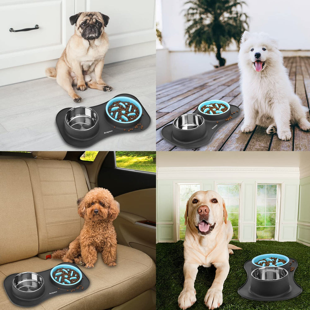 Anipaw feeding-area setup on floor keeps spills contained and floors clean.