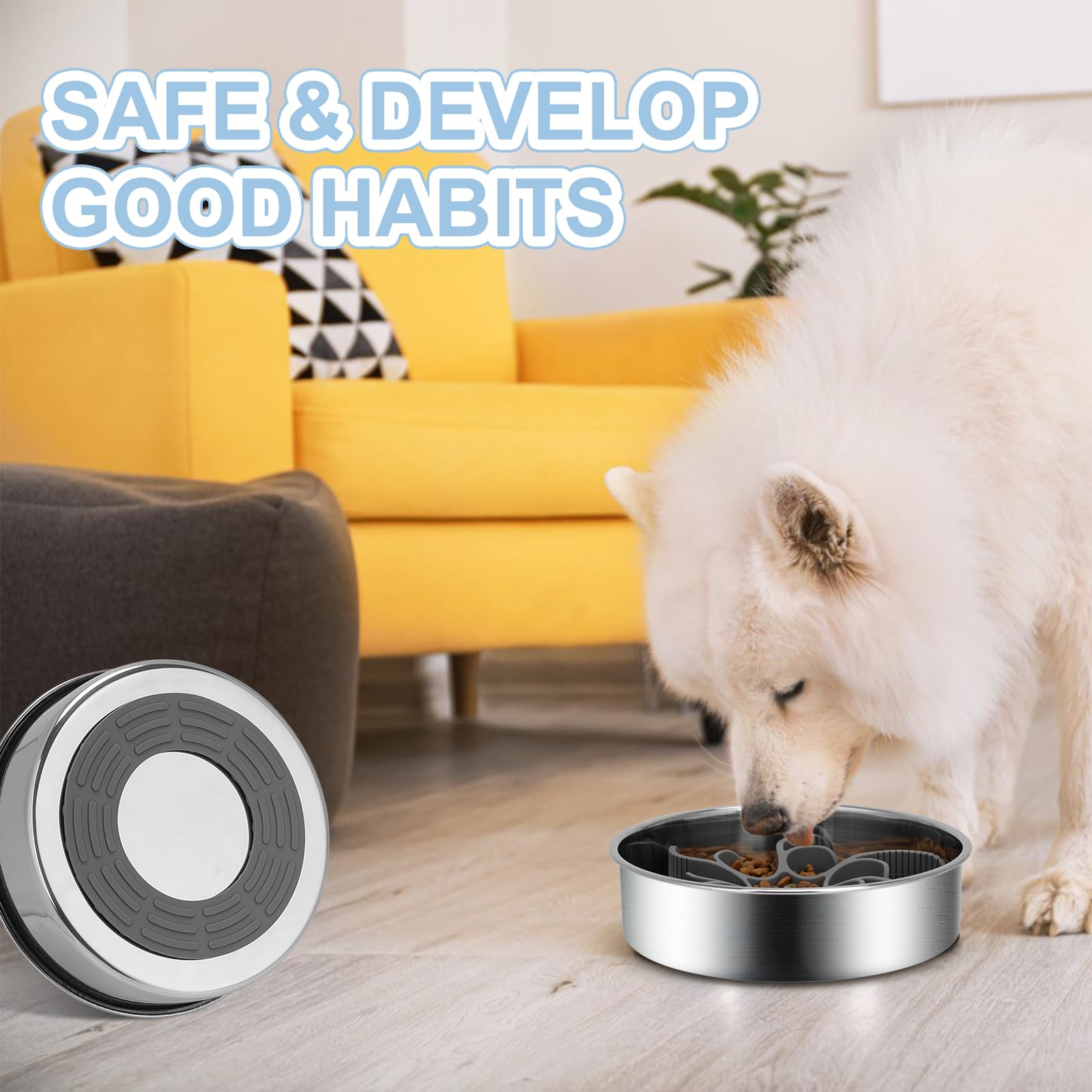 Anipaw bowl supports dry, wet, or raw foods for versatility