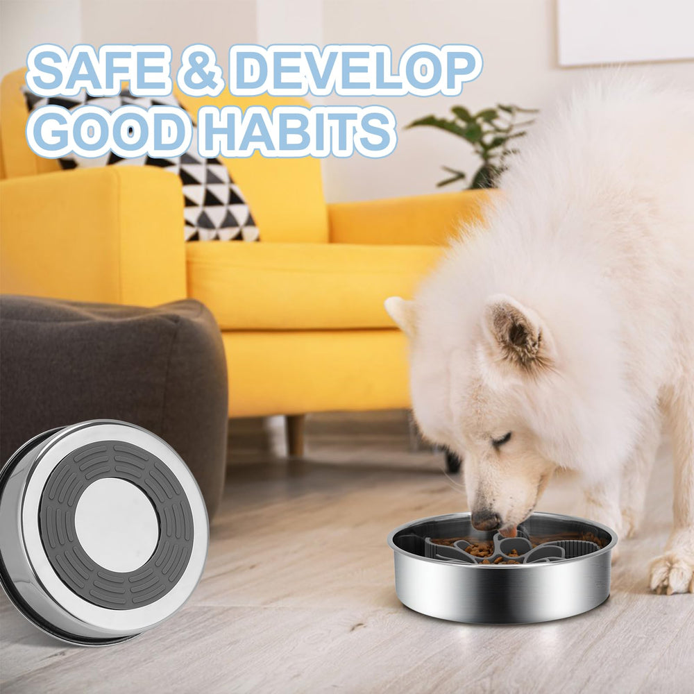 Anipaw bowl supports dry, wet, or raw foods for versatility