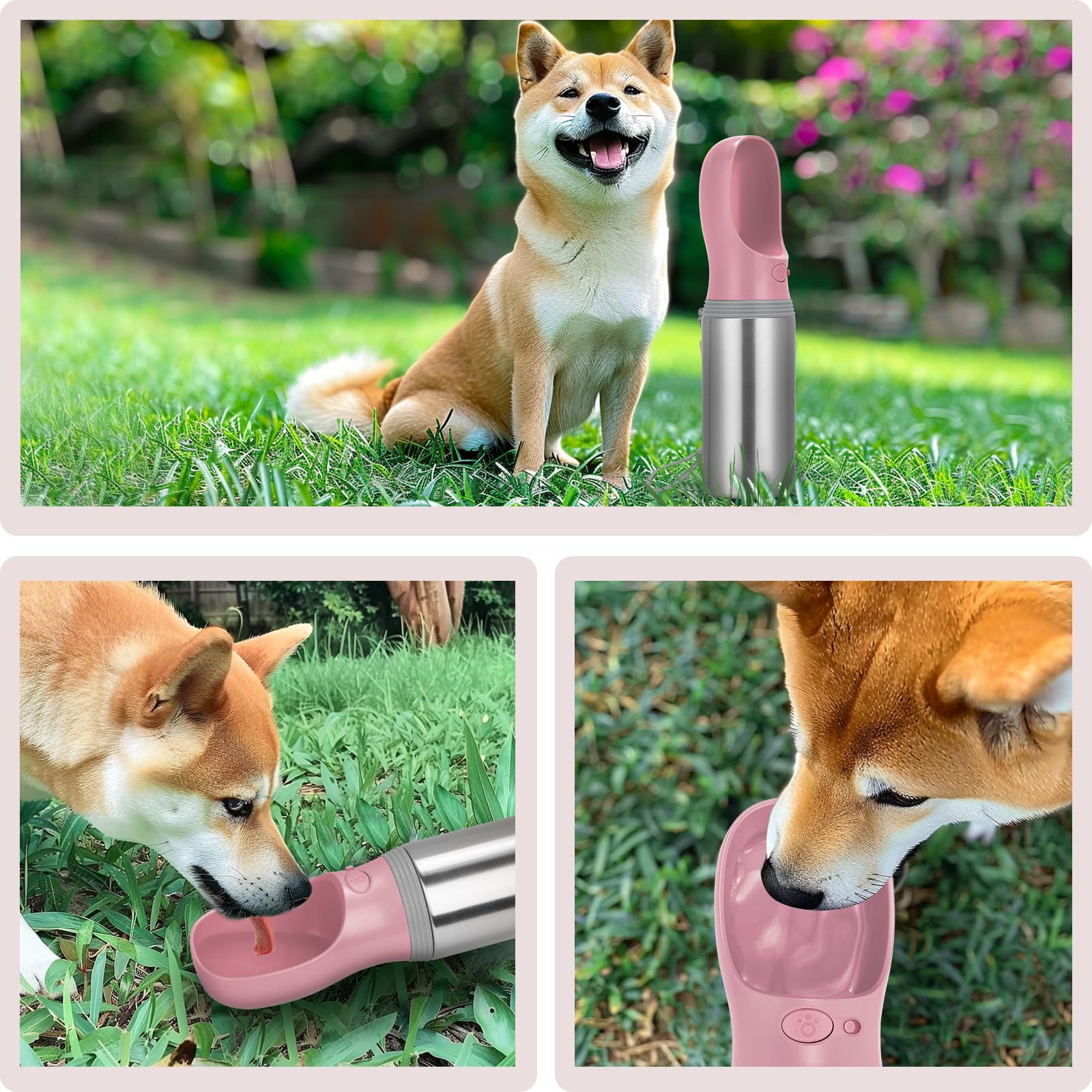 Anipaw portable dog water bottle 14oz capacity suitable for dogs of all sizes.